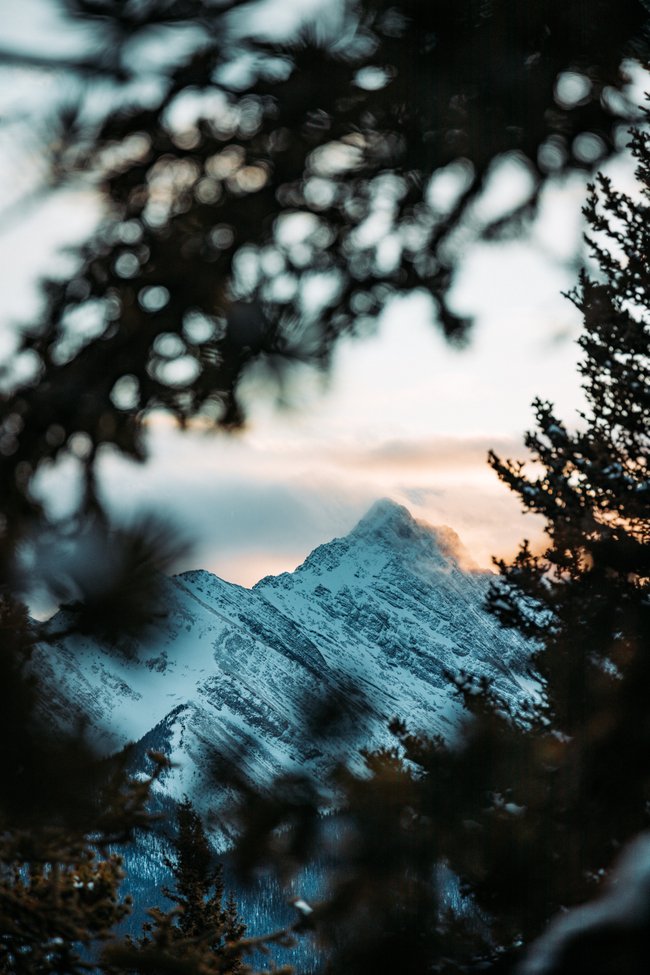 capturesoka's tweet photo. Where will you travel #postcovid? We hear the mountains calling...
#travelchannel #covid19 #aftercovid19 #canonCanada #canonphotographer #Canada #Banff #letsgetlost #letsgetlosttogether #mountainsadventures #banffmountians
#exploringcanada #travelphotography #naturephotograph https://t.co/CaxYoA3zb1