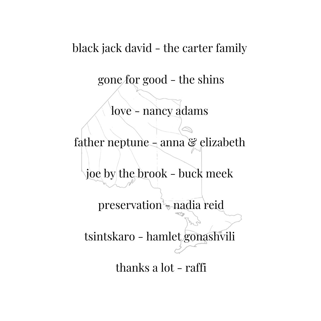 The Northern Appeal tweet media