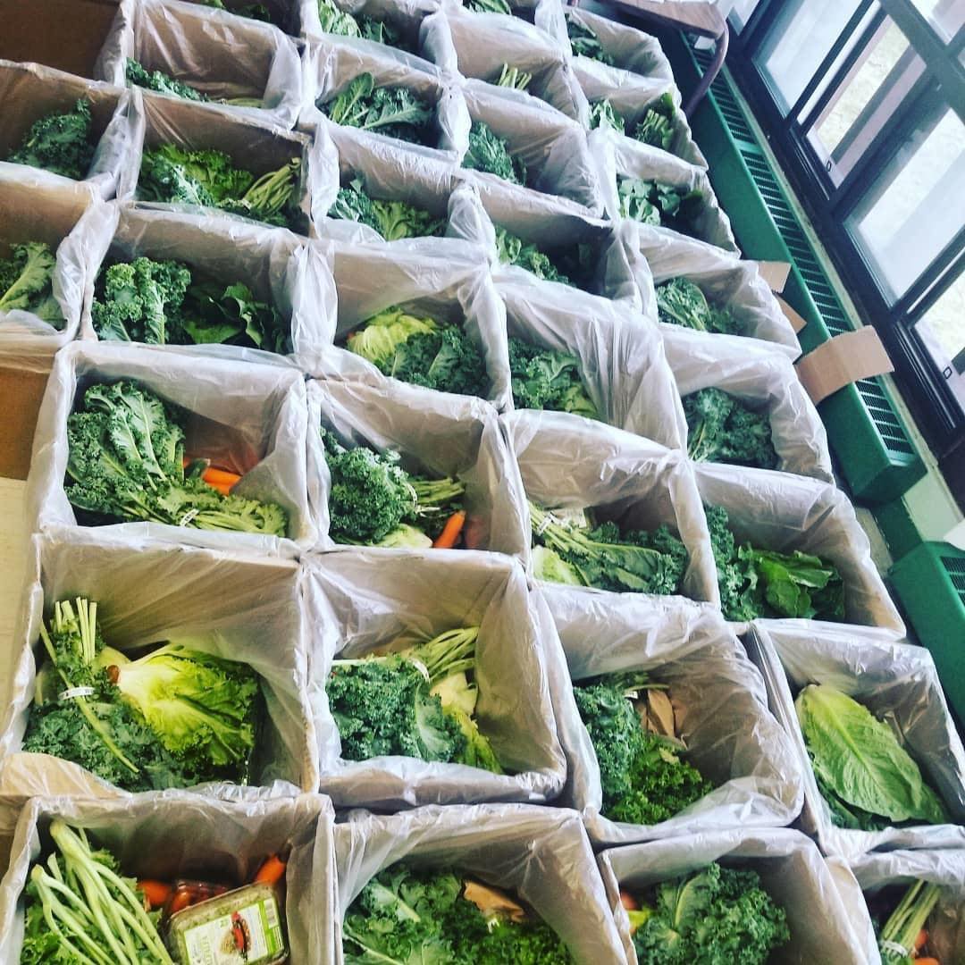 FeedScarborough's tweet photo. It takes money, volunteers &amp; partnerships to feed between 900 - 1250 families in need, each &amp; every week! We're grateful to partner w. @FoodShareTO! Their #GoodFoodBox program is helping us #FeedScarborough &amp; helping families across Toronto. @SCMirror  @globalnewsto #foodshareto https://t.co/1lBNzinwf8