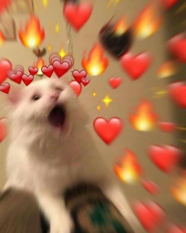 𝐑𝐔𝐁𝐘. (@princessxlover) on Twitter photo 