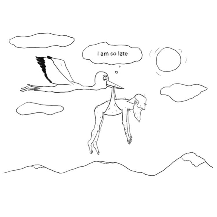 asherperlman's tweet image. here’s some wholesome stork humor for you
