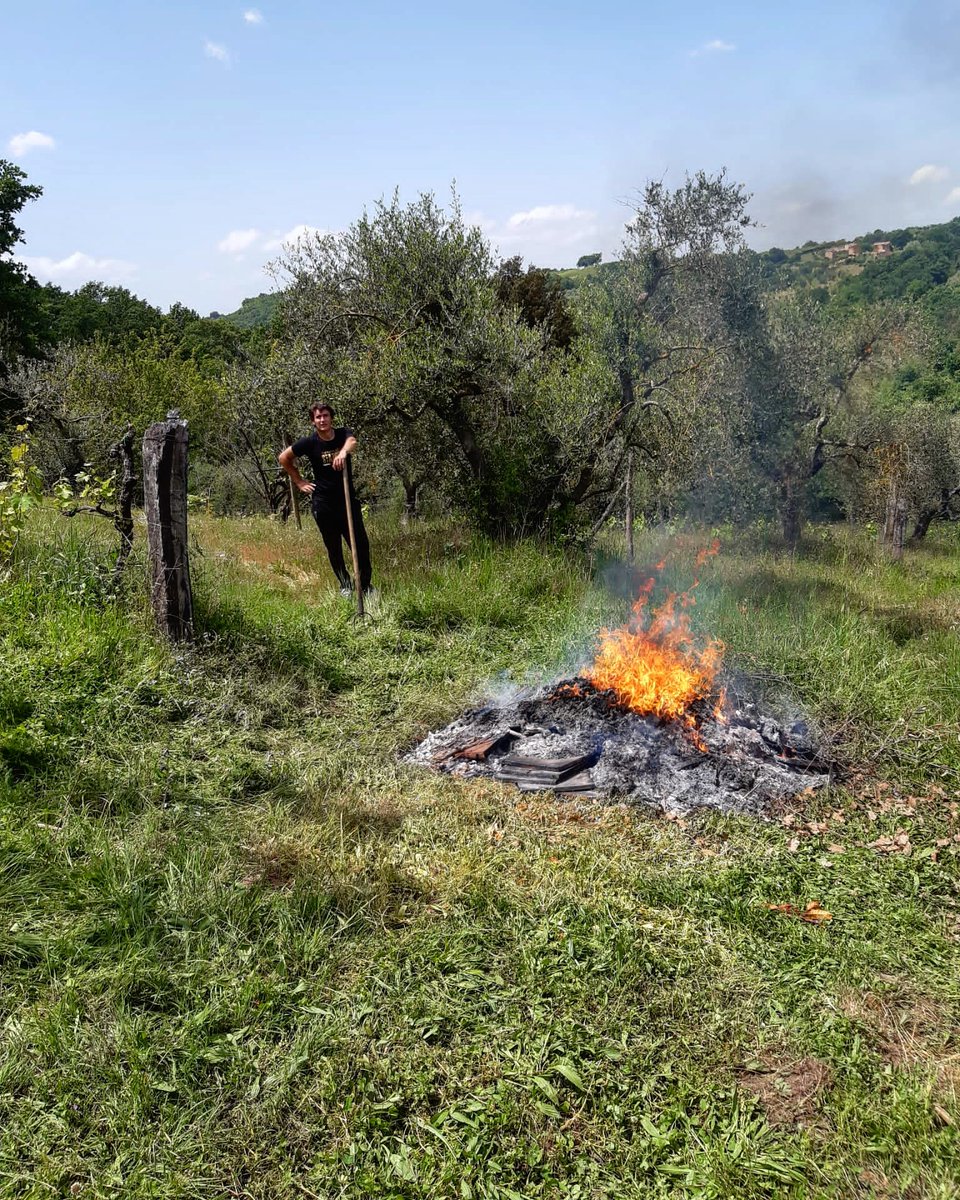 Spring cleaning, we're working for you !! ☀️🌾💪🏼
.
.
.
#like #follow #share #comment #subscribe #castelnuovodellabate #montalcino #borghettomontalcino #tuscany #tuscanygram #italy #italy🇮🇹 #italia #santantimo #valdorcia #travel #travelblogger #travelphotography #travelgram