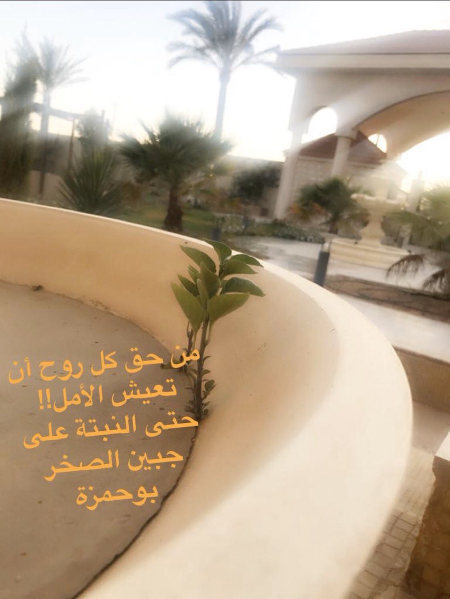 د. نايف الحمد tweet media