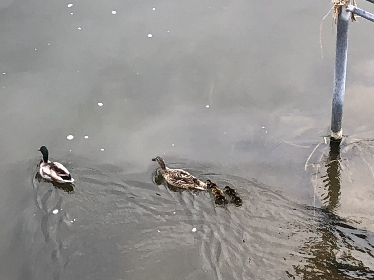 A few general nature and motion shots.