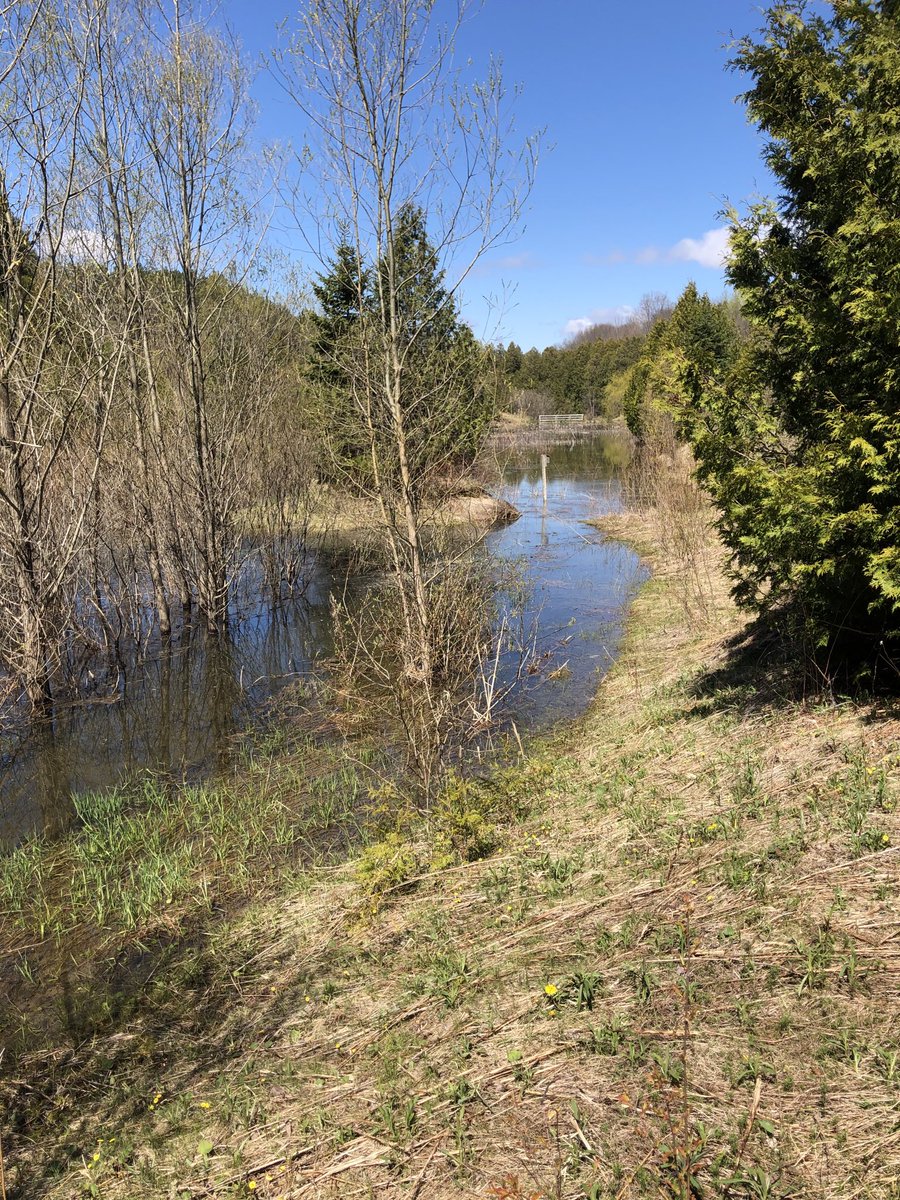 Great hike at Cawthra Mulock Nature Reserves, which ⁦<a href="/OntarioNature/">Ontario Nature</a>⁩ reopened this week.