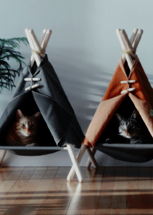 ㅤㅤㅤㅤㅤ︙ 𝐀𝐦𝐨𝐫𝐚 𝐚𝐧𝐝 𝐏𝐢𝐱𝐢𝐞 𝐚𝐥𝐬𝐨 𝐡𝐚𝐯𝐞 𝐧𝐞𝐰 𝐛𝐞𝐝𝐬.