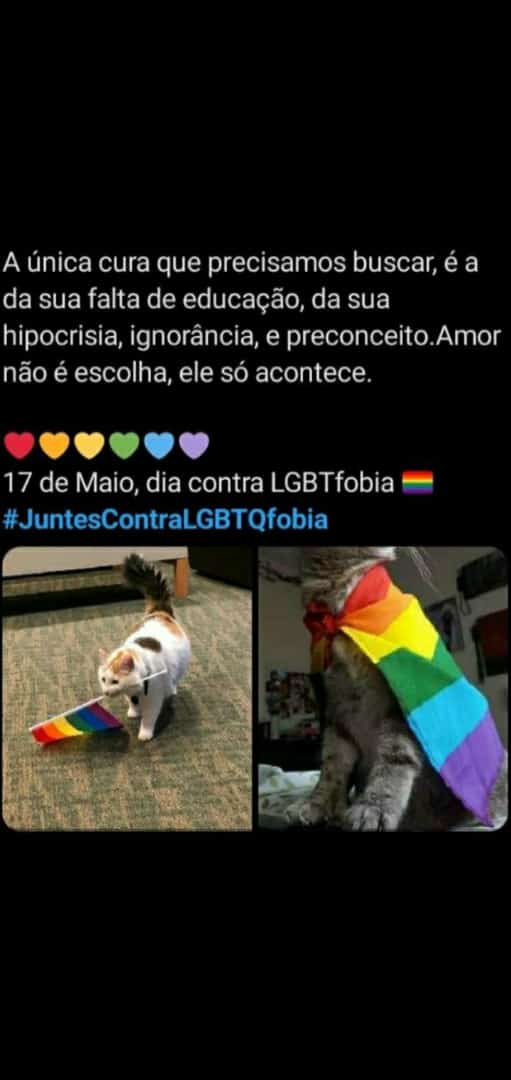 abellofc's tweet photo. #pride #lgbt #naoahomofobia #naoaopreconceito #respeito #juntoscontraaLGBTQfobia https://t.co/YaxpKyLTXp