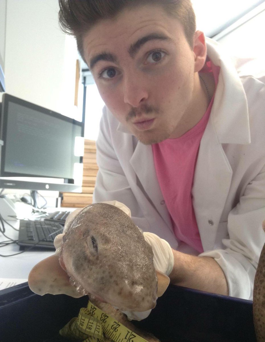 KjParton's tweet photo. @TaraLynC Hey all, I’m Kris - my research is looking at how #shark species are impacted by #plastic pollution, both via #entanglement and #ingestion. Check out #60secondSharkScience for some #SciComm videos! 🦈 https://t.co/libRrQw1o8