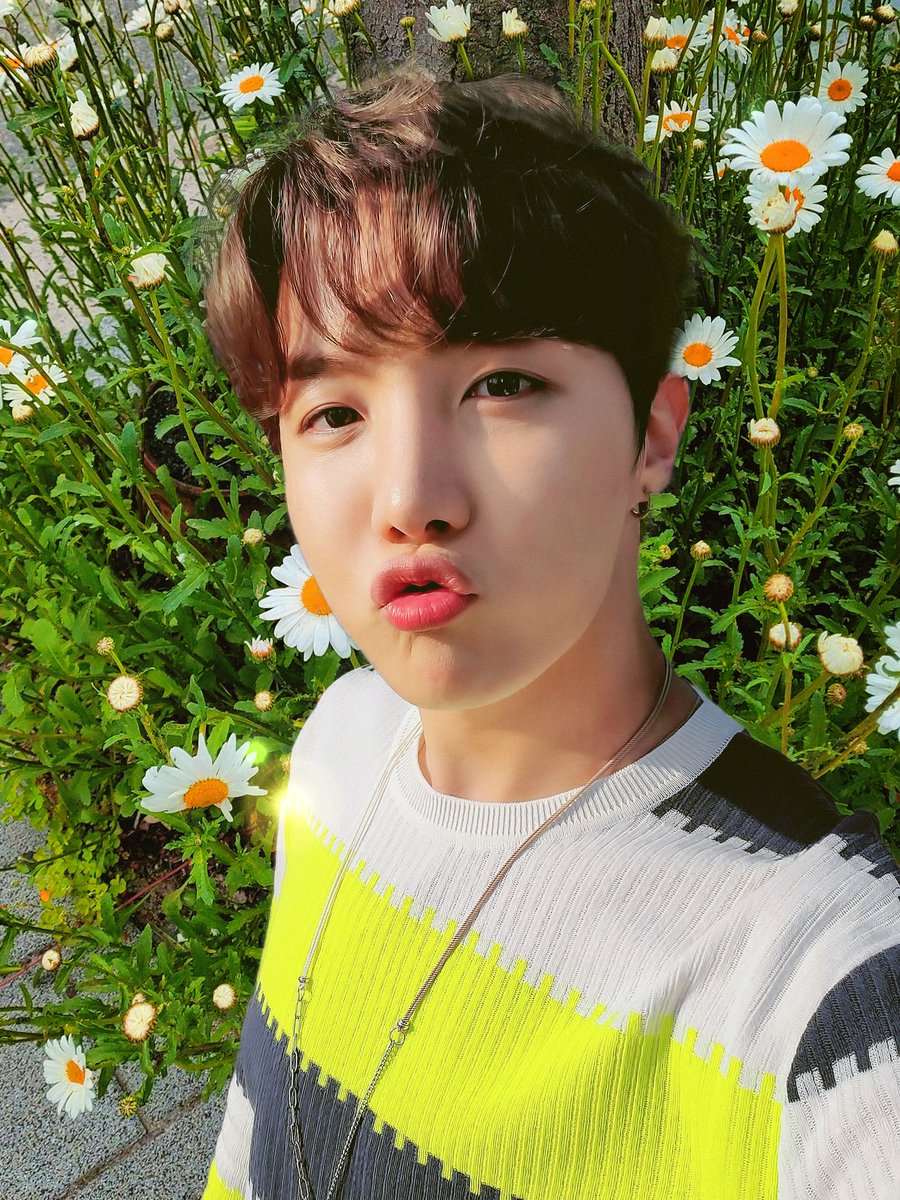 디홉 tweet media