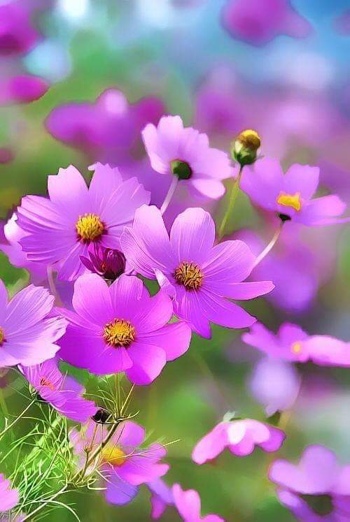 livewirelois's tweet photo. 🦋🦋💗🦋💕V💗R🦋💕🦋🦋 https://t.co/ZgXnXoTFyx