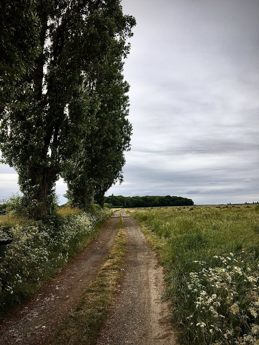 Longstaffemedia's tweet image. Day 2 first fifty plus miles around Hale and double trouble wind #cycling #cyclesafe #cycleuk #uk  #health Thank You NHS #ThanksNHS for making this possible