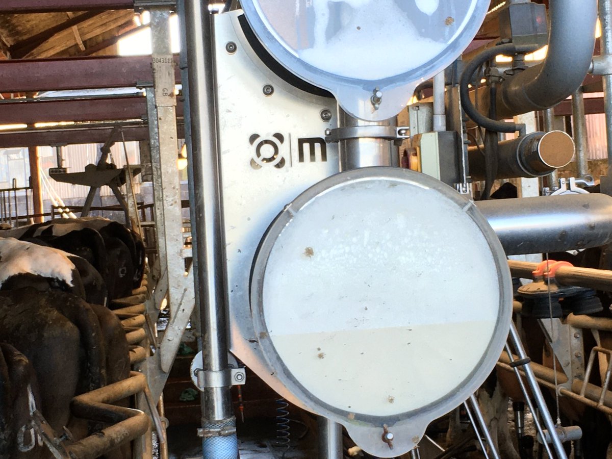 4.16% protein, I love this new cheese contract 👌