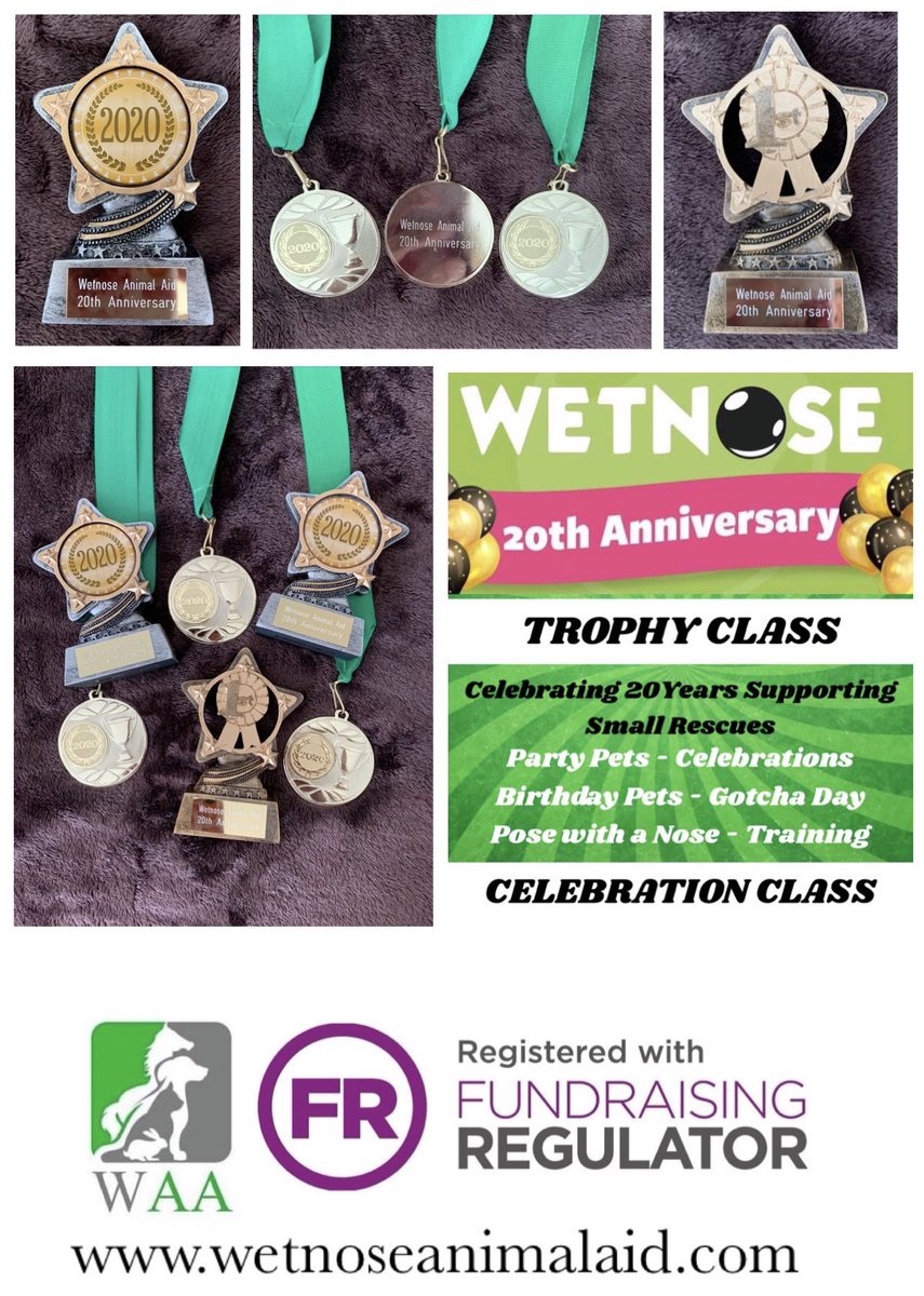 Wetnose 20th Anniversary Class 
Celebrating 20 Years Helping Small #rescues in need - Join the Fundraising Class #charity 
📸facebook.com/18677686434449…