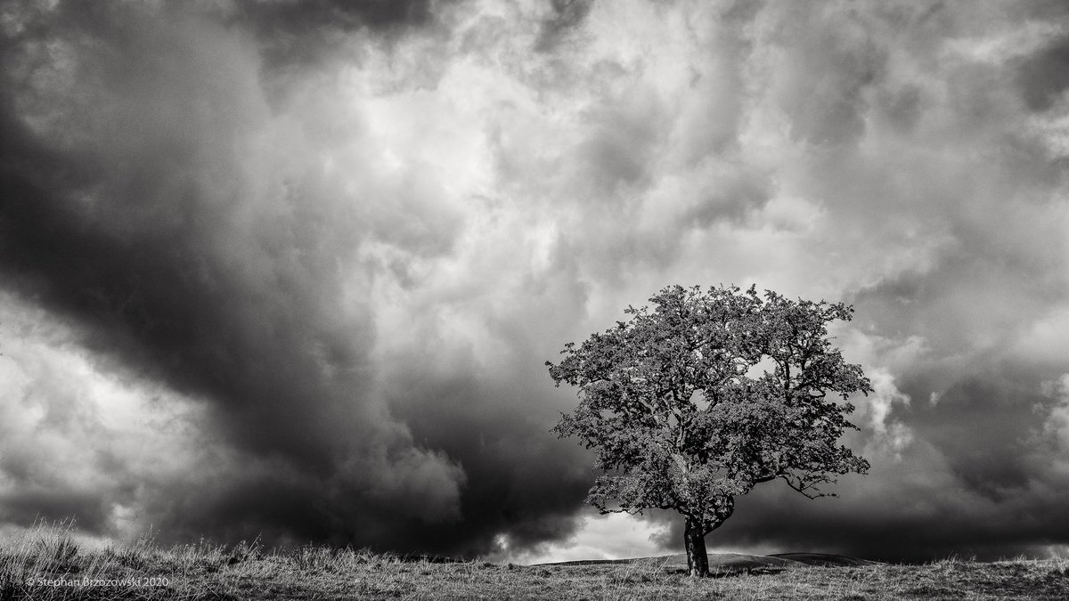 stephanbrz's tweet image. A different sort of day in Cumbria - quite moody cloud about, so best be in black and white then!
#EastFellside #Cumbria #blackandwhitephotography #StormHour