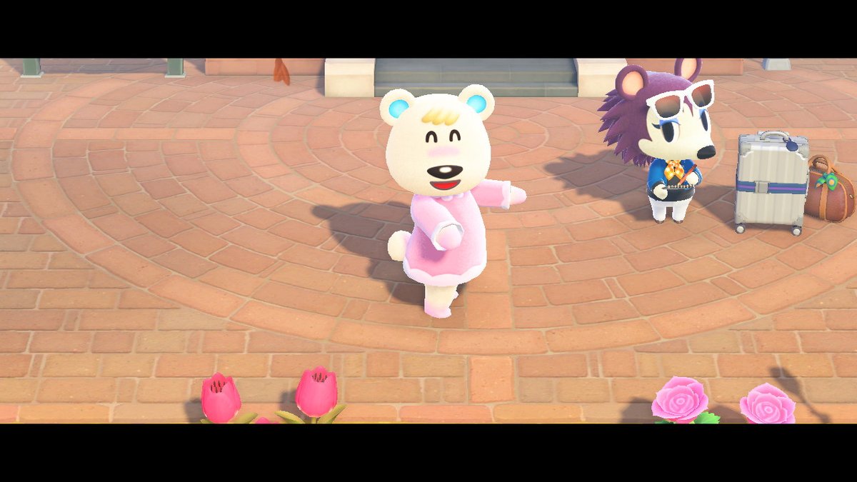 KiuACNH's tweet photo. tutu is just.. so perfect  #AnimalCrossing #ACNH #NintendoSwitch https://t.co/dlXqbgD9nT