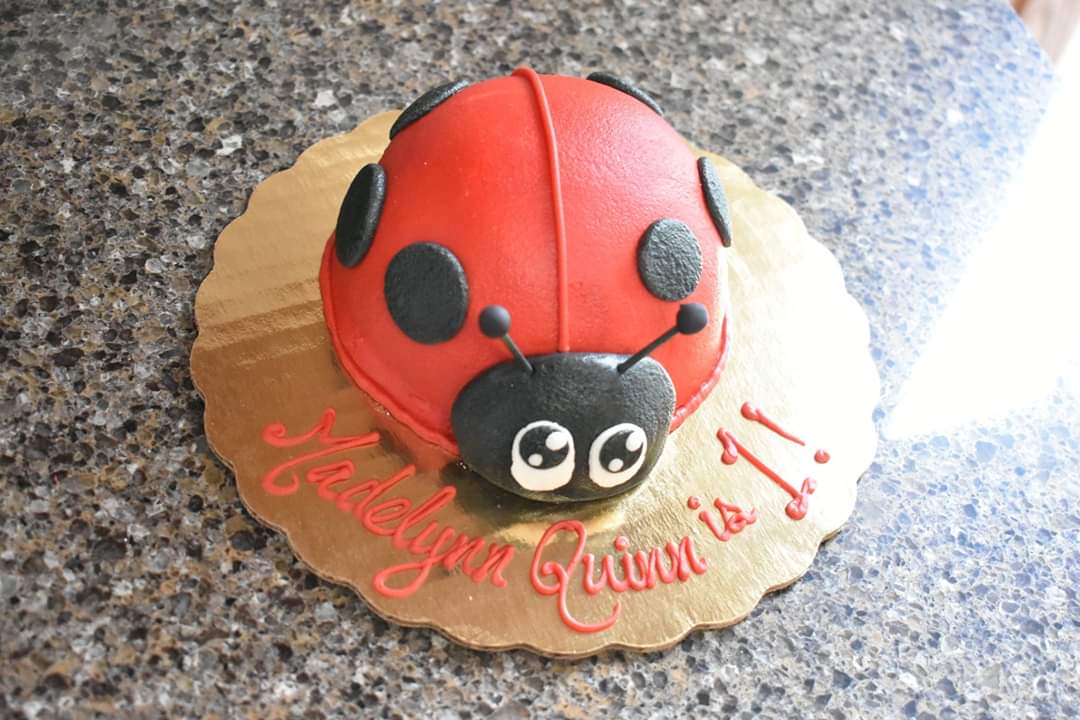 Madi's First Birthday party was a hit! She had so much fun. #madiq #firstbirthday