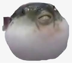ChubKyogre's tweet photo. i think i found my long lost twin https://t.co/2cEwER5o5G