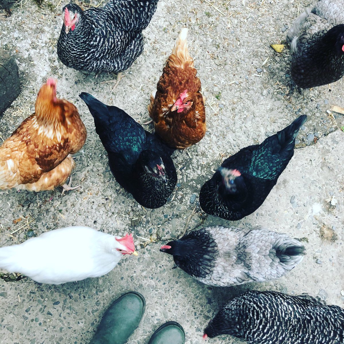 I’m popular at feeding time.., 🙄🤪😂