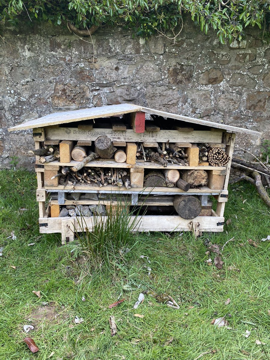 BeaconsPark's tweet photo. Made a start on the bug hotel #bughotel #naturalburialground https://t.co/pwsrrqIQZT