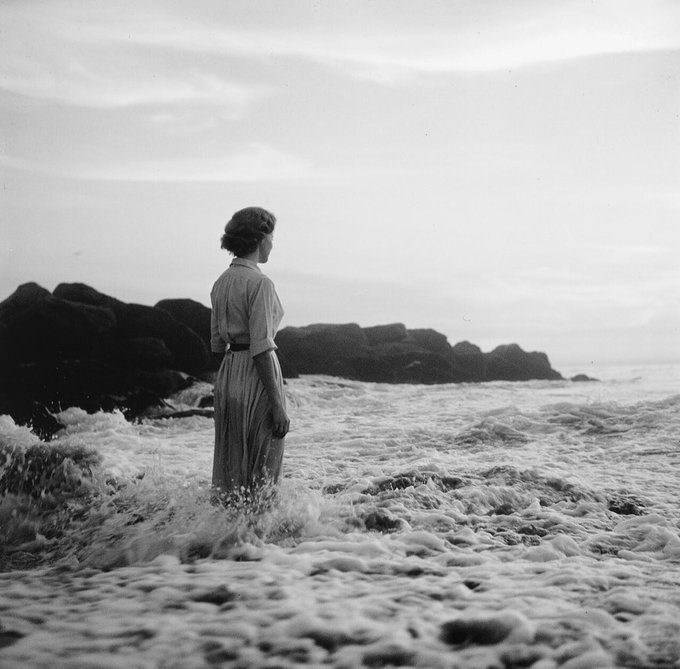 literlandweb1's tweet photo. "De dónde venimos no significa nada. Hacia dónde vamos y lo que hacemos para llegar allí, es lo que nos dice qué somos". 
Joyce Carol Oates https://t.co/lfqTCzFdlP
