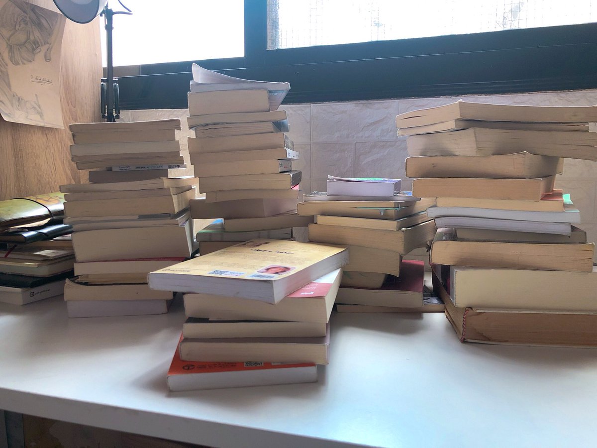 شجـرة🌿 tweet media