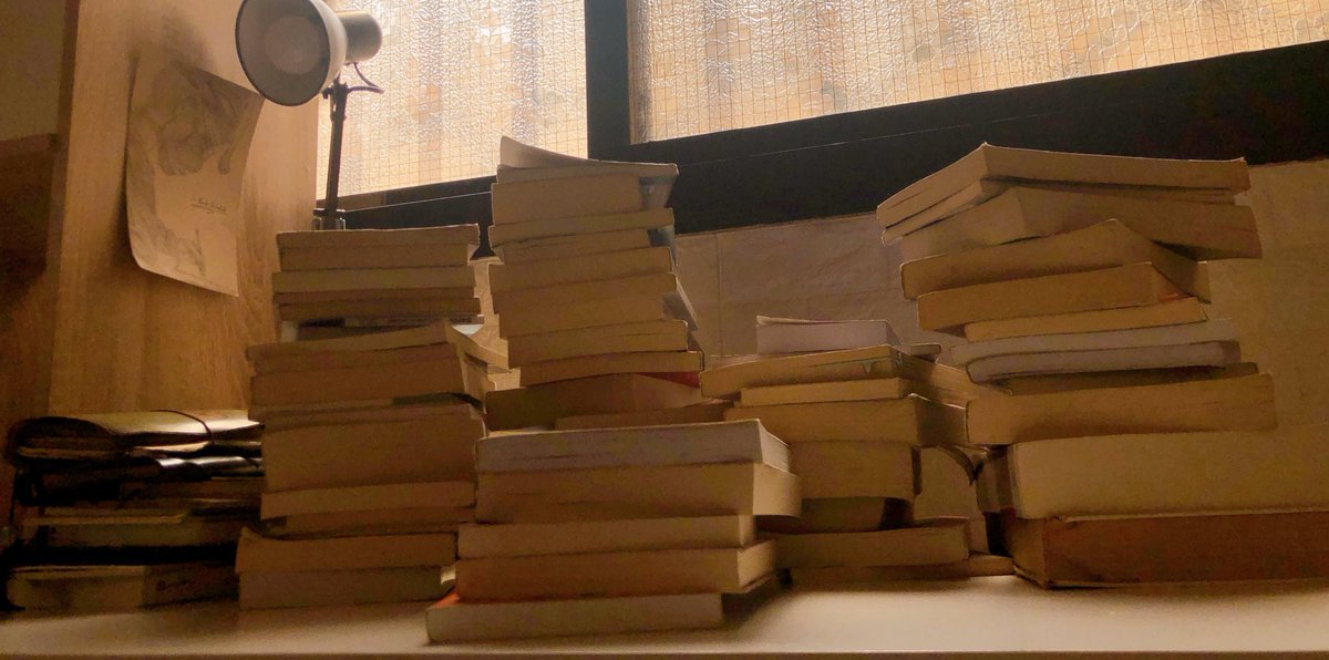 شجـرة🌿 tweet media