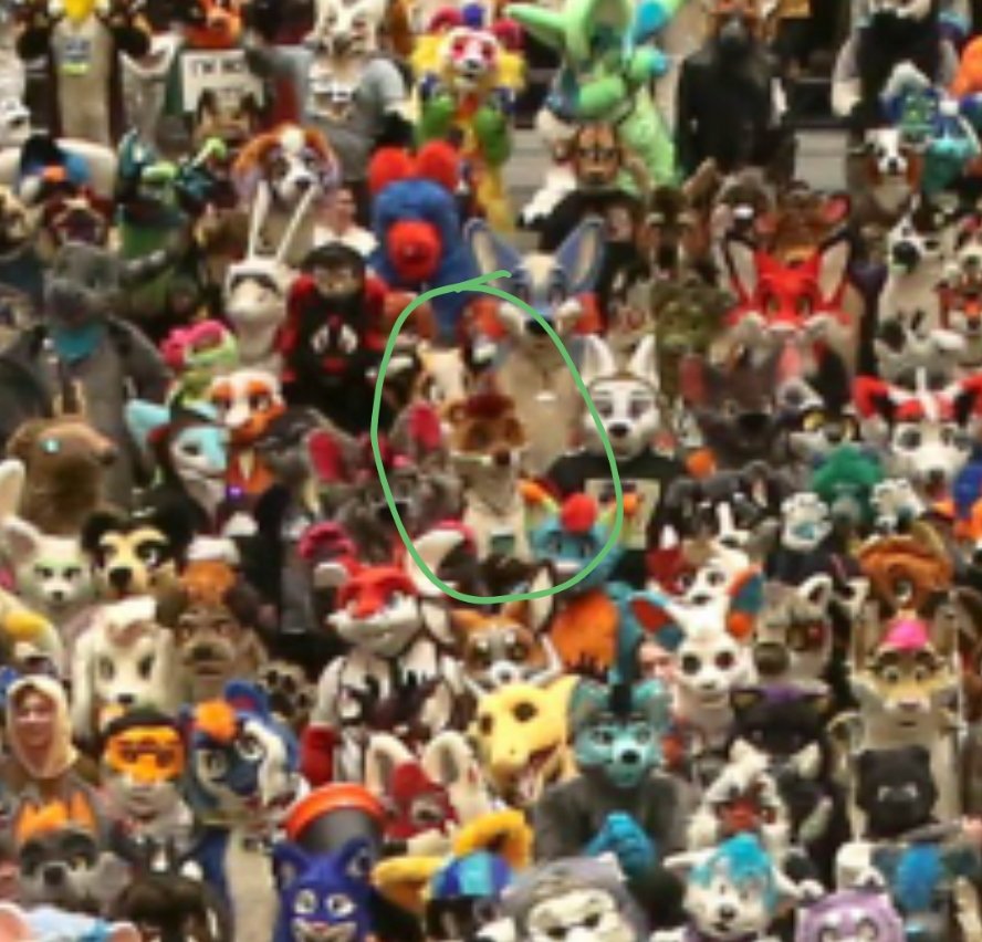 AitrusOtter's tweet photo. I spot an ott @FurryFiesta #LastCon https://t.co/BgajU5EGtu