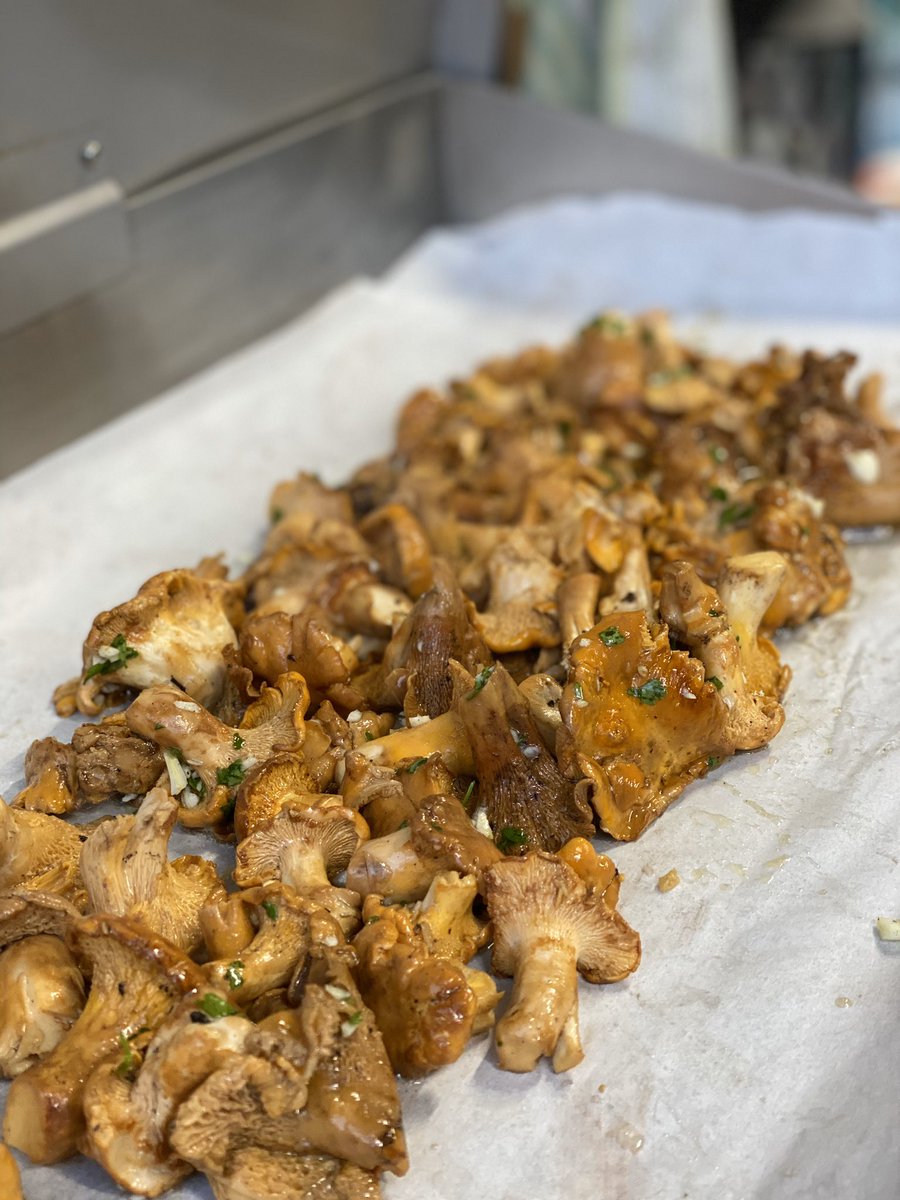 MMargalet's tweet photo. En 3 étapes cette journée ! 🍄
Chercher, cueillir, manger 😋
Une quinzaine de kilos ramassée... 🙄
#Champignon #Girolles #Sportif #FamilyMoment #Montagne #SundayFunday #Planxa #NaturePhotography #PaysCatalan 🔴🟡🔴🟡 https://t.co/S1Yalt9wOb