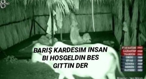 Bu şaheser kime ait aq hangi özgün fikir yaptı bunu kndlxck #survivor2020