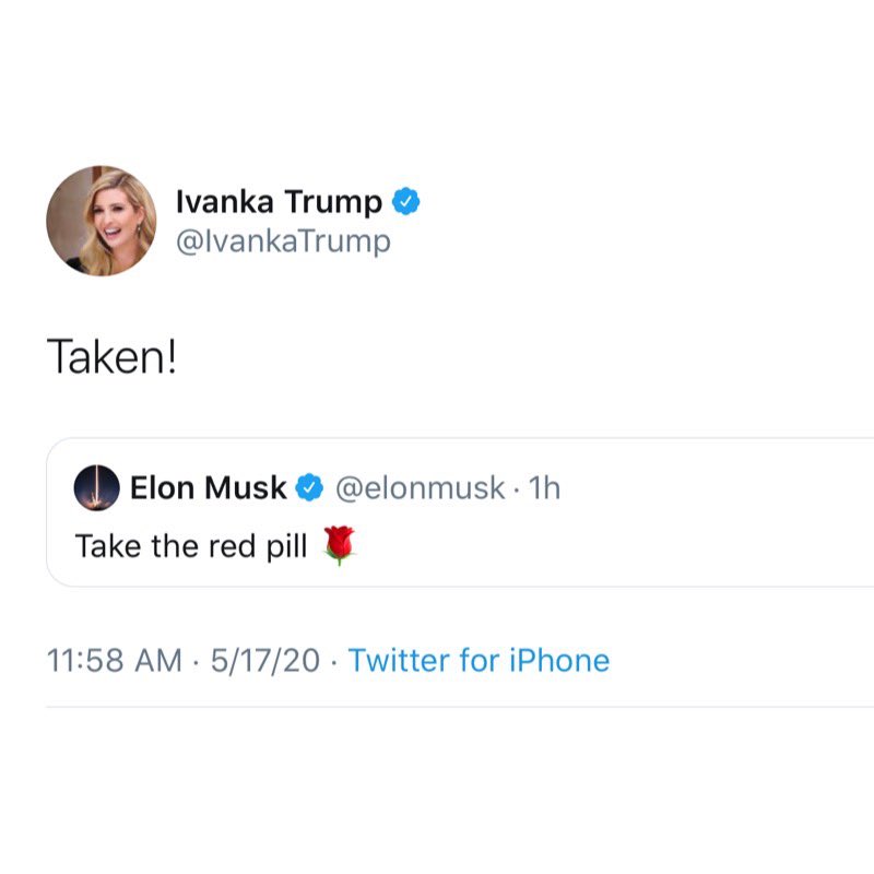 elon musk red pill elon musk red pill