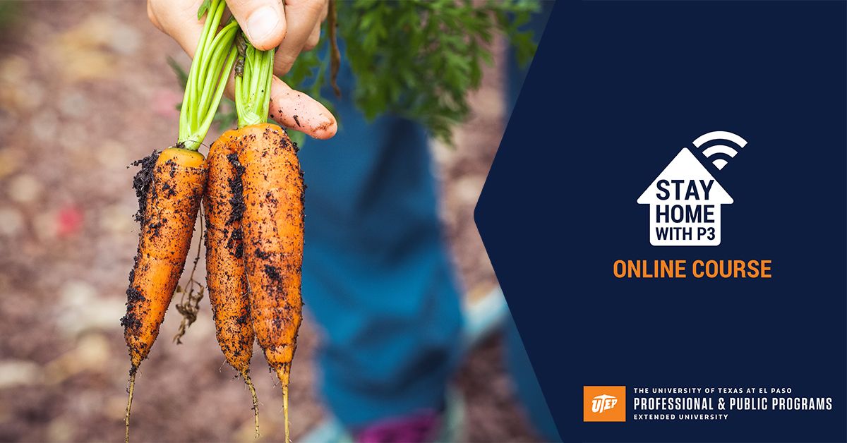 UTEP_P3's tweet photo. Ever want to start an edible garden? Now can with our online course Start Your Own Edible Garden designed to teach individuals the knowledge and skills needed to grow delicious fruits and vegetables in your backyard! To register visit https://t.co/TIjuvSA7MG. #StayHomeWithP3 https://t.co/U1oFfSNHIQ