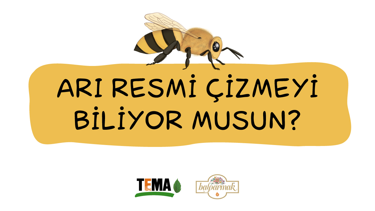 🐝Arı resmi çizmeyi biliyor musun❓
Arı resmi çizmeyi öğrenmek ve etkinliğimize katılmak için Instagram hesabımızı ziyaret et👉instagram.com/temavakfi
#arılarvarsa <a href="/balparmak/">Balparmak</a>