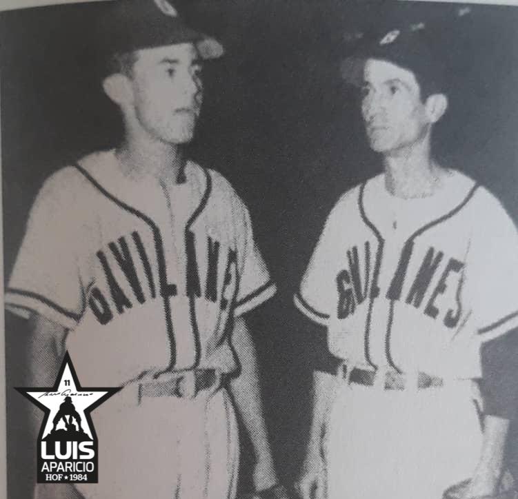 El SS y 3b del equipo campeón #Zulia Los Aparicio <a href="/ACardenas13/">Augusto Cárdenas</a> <a href="/datobinario/">𝙹.𝙹. 𝙼𝚘𝚗𝚝𝚒𝚕𝚕𝚊 𝚁.</a>