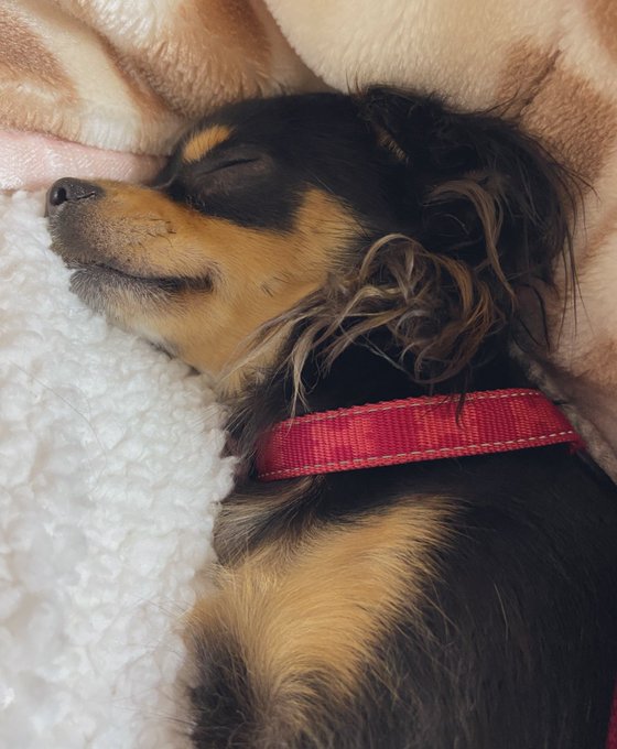 がわい〜〜〜👆👆👆👆(エロゲパイズリ中) 