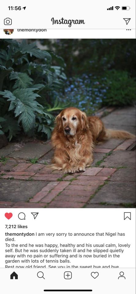 LyndaxLee's tweet photo. poor Nigel from gardeners world died https://t.co/cBftyKuPgQ