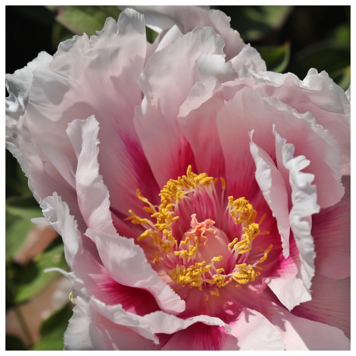 TeacherEmpower's tweet image. Uniting together; parents, teachers, charities, young people we would give a clear message that #WeAreTheSystem 

#UnitingVoices #MoreInCommon #OnlyConnect 

Check out @EdLeadCollecti1
🦆
#SLTchat