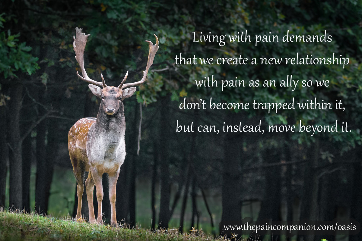 ThPainCompanion's tweet photo. #hope #chronicpain #chronicillness #fibromyalgia #positivity #quotes #thepaincompanion https://t.co/8CxLSlIPA1