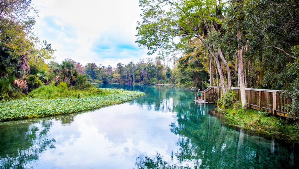 Wekiwa Springs State Park is a local spot, even though it's only about 30 minutes from the touristy Orlando. We still can't get over how beautiful this place is! For more info 👉:  thatadventurelife.com
⁠

⁠