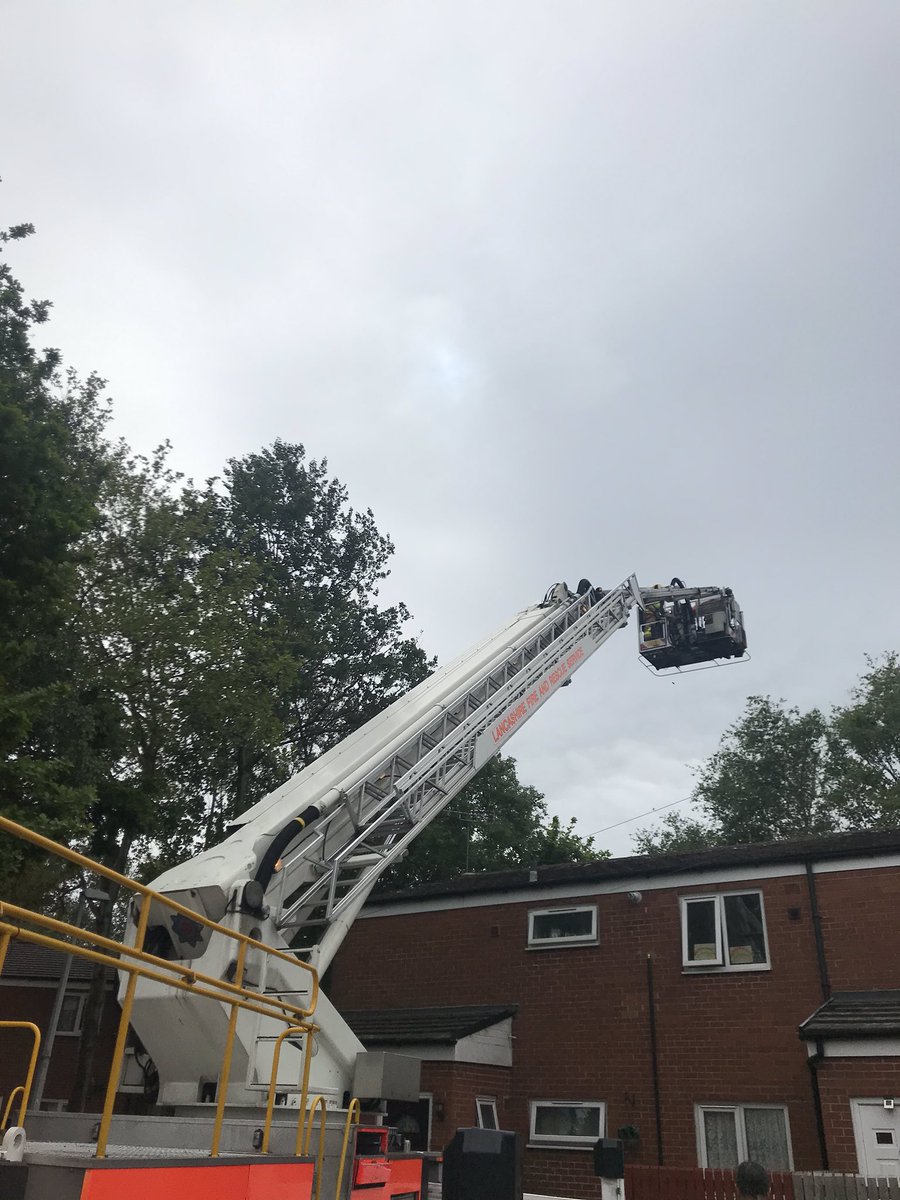 Preston_Fire's tweet photo. Yes it really does still happen. Earlier this afternoon the wholetime crew @Preston_Fire  came to the aid of a cat 🐱 stuck approx 15 metres up a tree. An awkward rescue made harder with attack crows pecking at the poor cat. All made safer with use of the Aerial ladder platform https://t.co/FCf5q2l8q0