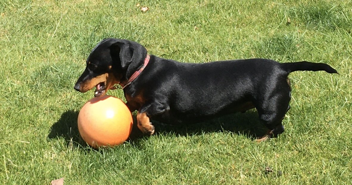 ElizabethMaw's tweet photo. @mrswongwrites @GordonMaw He’s also a nifty footballer! https://t.co/jxSE4GNObM