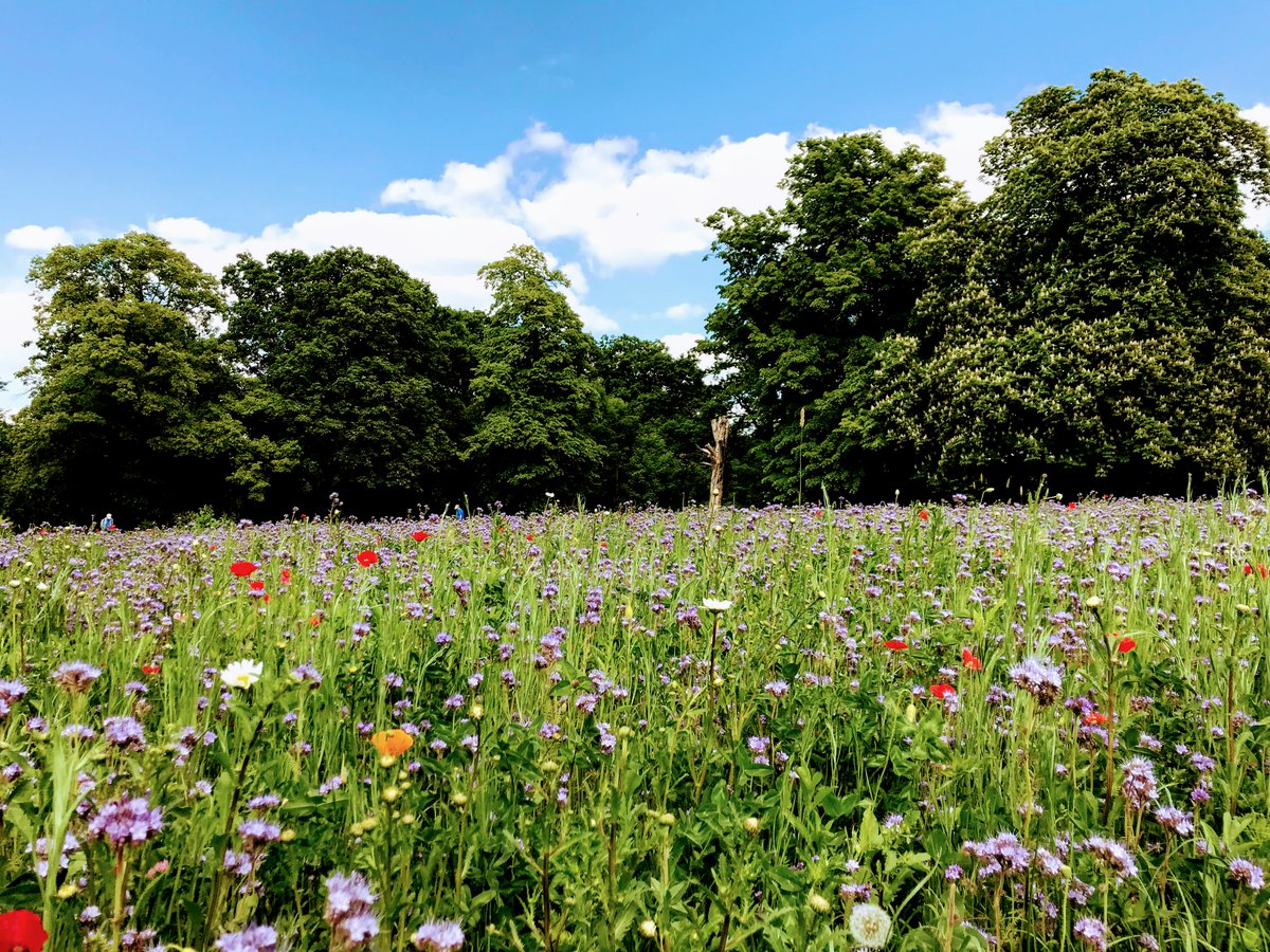 Andrew Davidson tweet media