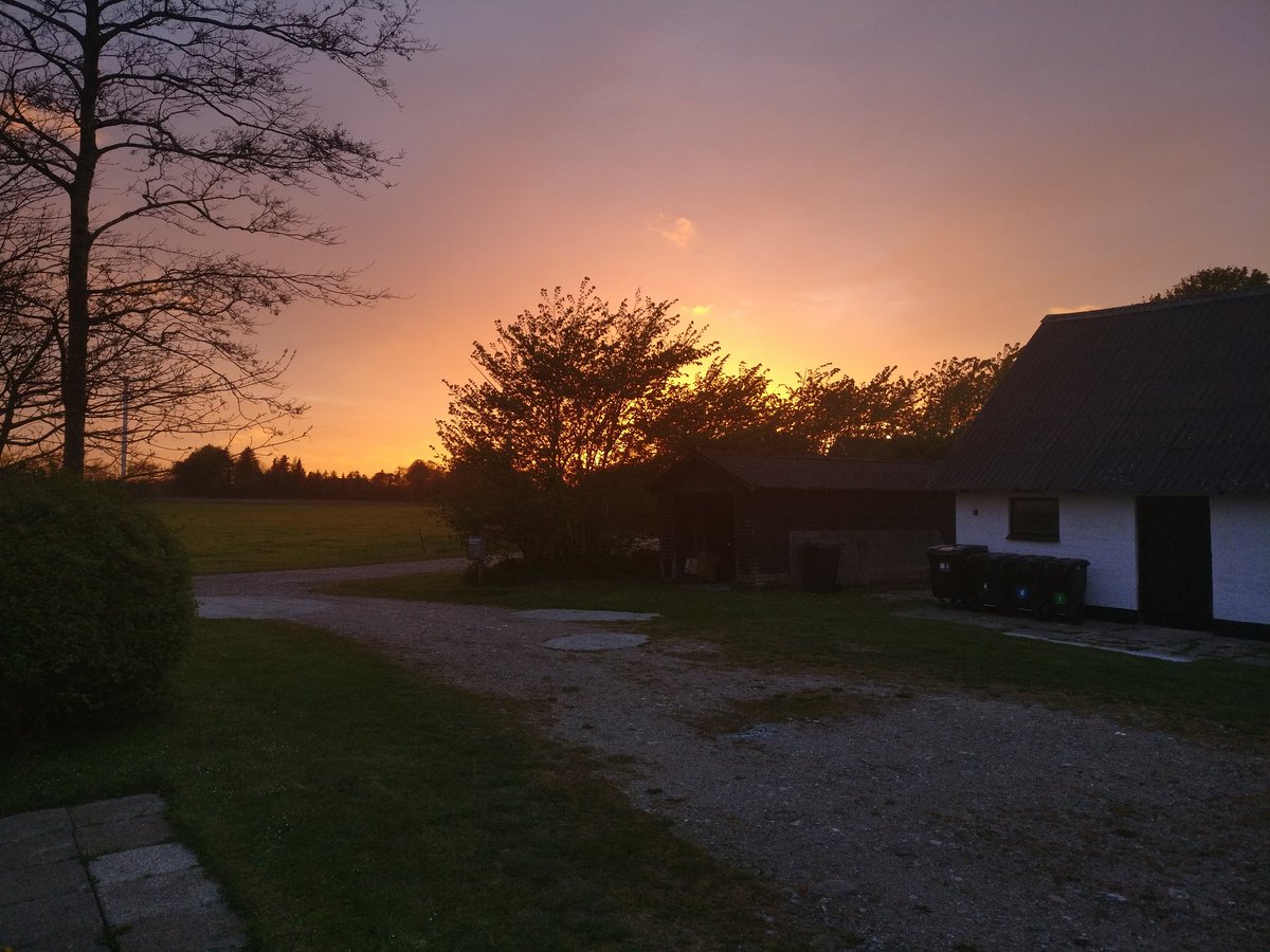 LisaMiza tweet media