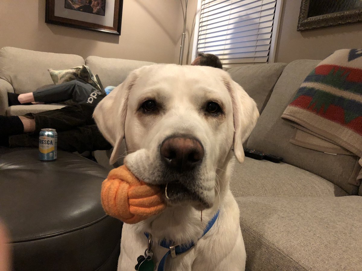 Karen Mauck, MD, FACP (@karenmauckmd) on Twitter photo My life in pictures. No words. Just a picture every day for 7 days
Today is day 4
I was nominated by <a href="/SuzanneNorby/">Suzanne Norby</a>
I nominate @mindygillis My life in pictures. No words. Just a picture every day for 7 days
Today is day 4
I was nominated by <a href="/SuzanneNorby/">Suzanne Norby</a>
I nominate @mindygillis