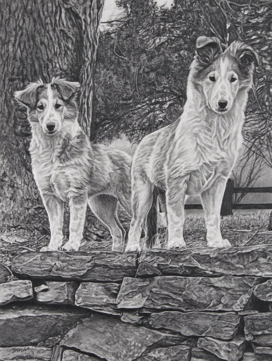 sketch_creation's tweet photo. Meet Poppy and Zeus! My most recent commission. This is one of the most complex drawings I’ve done and took about 57 hours. Graphite, 9x12”, Completed May 2020
#petportrait #graphiteportrait #artist #ArtistOnTwitter #portraitart #petportraitartist #dog #dogs https://t.co/ARaIyM6VPv