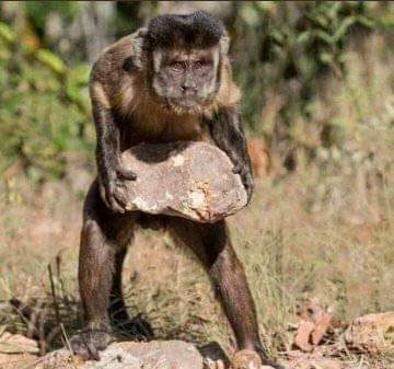 MosianeMatty's tweet photo. #Uyajola99 Emmanuel.🤣 https://t.co/FCIDdLCx1p