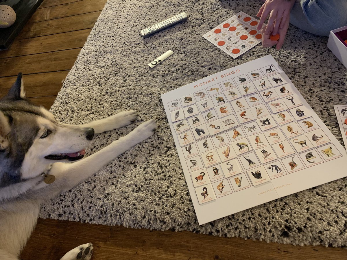 EAnoukBec's tweet photo. It’s a game for all the family, after all #monkeybingo #huskybingo https://t.co/DIq8BGMcZ8
