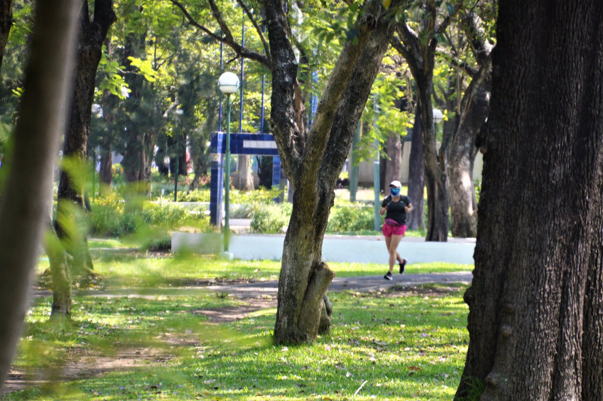 ASIERVERA's tweet photo. #COVID19gt Ahora bien, si nos vamos a la exclusiva Zona 14 de Ciudad de #Guatemala es posible observar a varias personas corriendo, paseando a sus mascotas, patinando o con sus flamantes patinetes eléctricos. En teoría, solo se podía salir para hacer las compras. Pasos y Pedales. https://t.co/h7sfnqBQVT