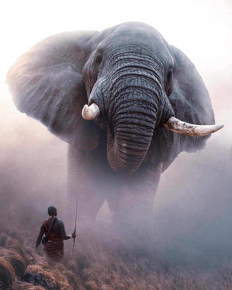 Kelmtui's tweet photo. The land of the masai the eden of africa(Tanzania) people and animal lives on the same planes of serengeti visit https://t.co/onEcRa9XKx to lern more about these edern that still survive #travelblogger @travelwithirine @travel @UNWTO https://t.co/P0vuSpiwgU