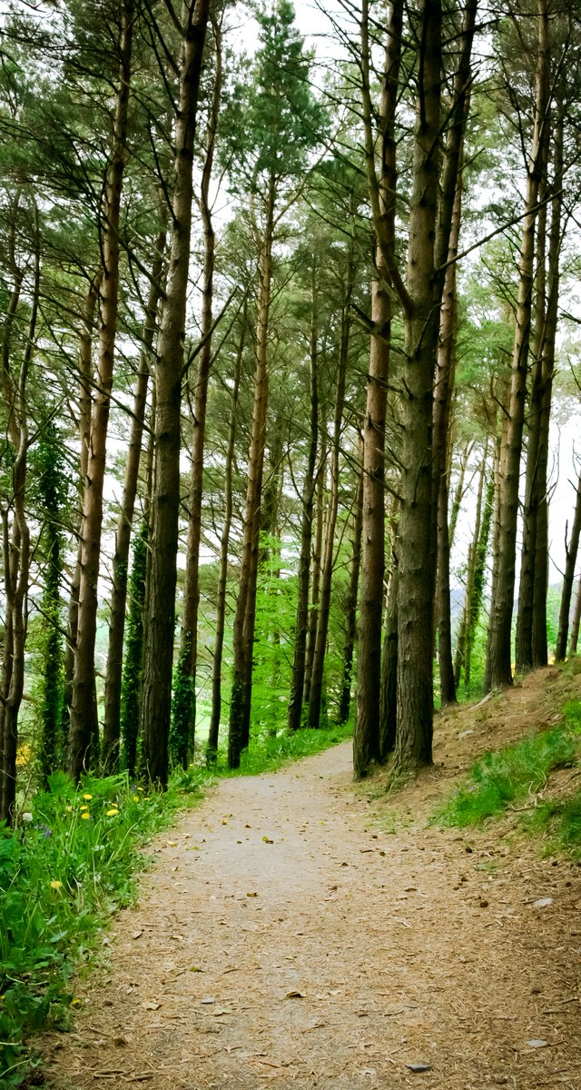 SeamusHeath1's tweet photo. Is your path uphill, downhill or taking a slight turn!! #Life
It isn't straight for anyone! #MakeTheBestOfIt #AlwaysLight https://t.co/VnusNTBtsp