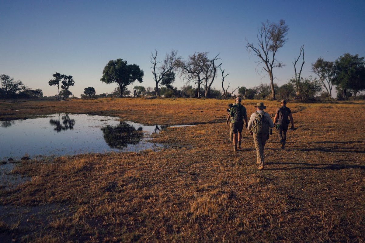 Levisonwood tweet picture